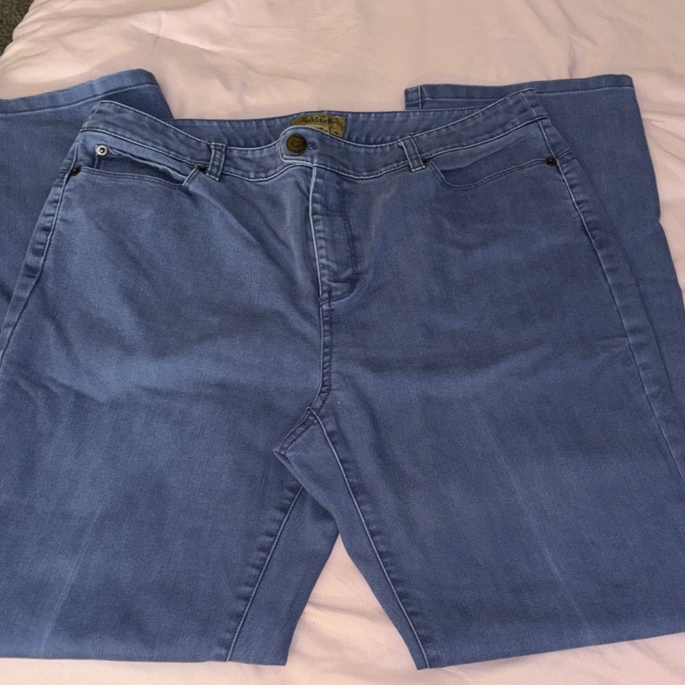 Peck & Peck Weekend Blue Cotton Blend Pants